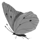 Письма к дочери. Слова, которые обнимают - i_005.png