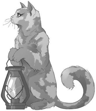 Дарина – разрушительница заклятий. Ключ к древнему пророчеству - i_001.jpg