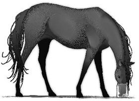 Дарина – разрушительница заклятий. Ключ к древнему пророчеству - i_002.jpg