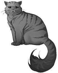 Дарина – разрушительница заклятий. Ключ к древнему пророчеству - i_003.jpg