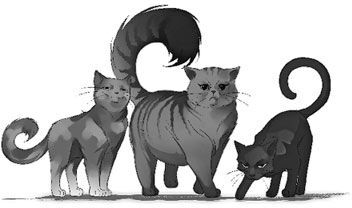 Дарина – разрушительница заклятий. Ключ к древнему пророчеству - i_006.jpg