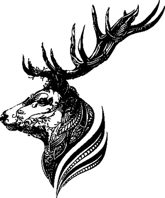 Танец со Зверем. Грешник. Комплект из 2 книг - i_009.png