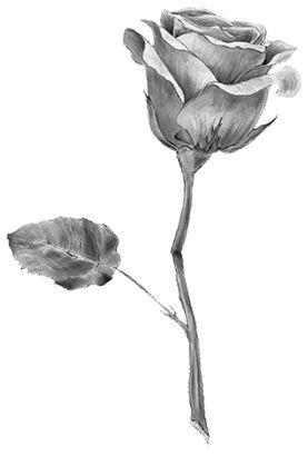 Клятва крови - i_001.jpg