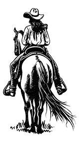 Дикие сердца - i_003.jpg