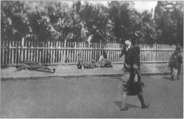 История Украины. Становление современной нации - i_052.jpg