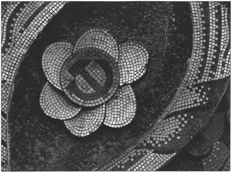 История Украины. Становление современной нации - i_119.jpg