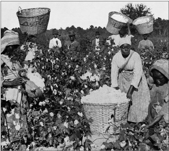 Мы больше не ваши обезьяны! Как миллионы людей погибли в Африке, а мир этого не заметил. С 1945 года до наших дней - i_002.jpg