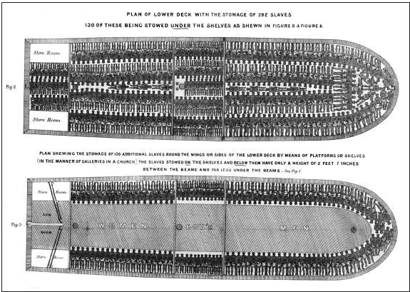 Мы больше не ваши обезьяны! Как миллионы людей погибли в Африке, а мир этого не заметил. С 1945 года до наших дней - i_004.jpg