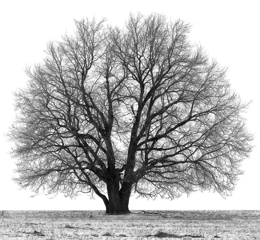 Психология человека от рождения до смерти - _023.jpg