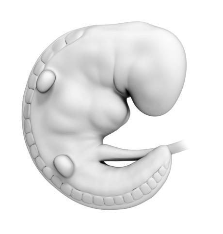 Психология человека от рождения до смерти - _102.jpg