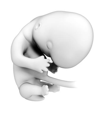 Психология человека от рождения до смерти - _102_2.jpg