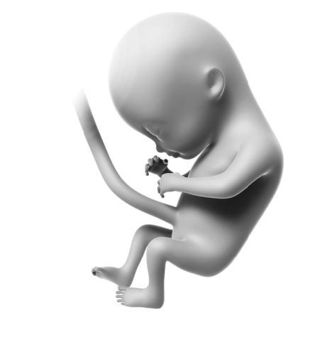 Психология человека от рождения до смерти - _103_2.jpg