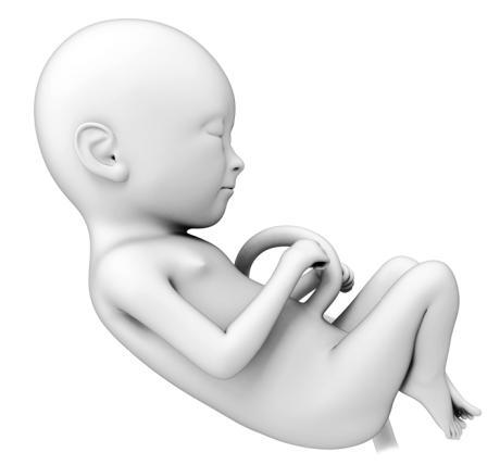 Психология человека от рождения до смерти - _104.jpg