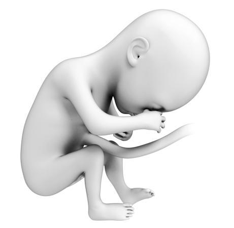 Психология человека от рождения до смерти - _104_2.jpg