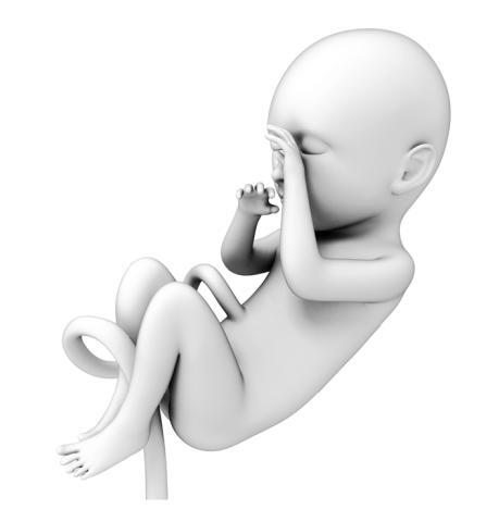 Психология человека от рождения до смерти - _105_2.jpg