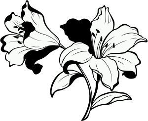 Свет в темной башне (омнибус) - i_002.png