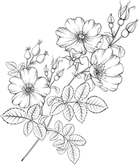 Свет в темной башне (омнибус) - i_003.png