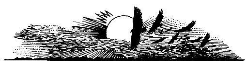 Орда. Куликово поле - i000000920000.jpg