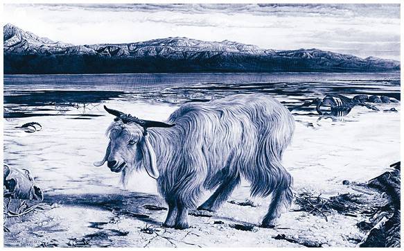 Смерть в Средневековье. Сражения с бесами, многоглазые ангелы и пляски мертвецов - i_014.jpg