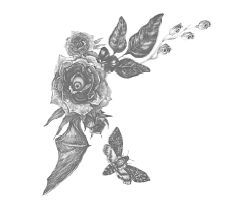 Побеждая смерть. Livor Mortis - i_002.jpg