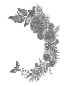 Побеждая смерть. Livor Mortis - i_005.jpg