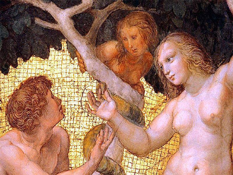 "Фантастика 2026-33". Компиляция. Книги 1-34 (СИ) - i_025.jpg