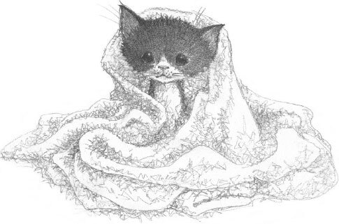 Котёнок Пикси, или Самый маленький друг - i_002.jpg