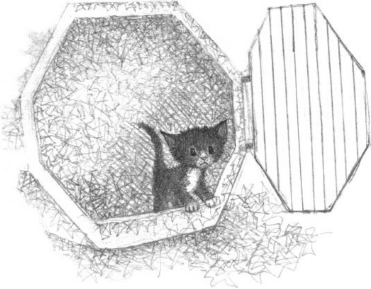 Котёнок Пикси, или Самый маленький друг - i_006.jpg