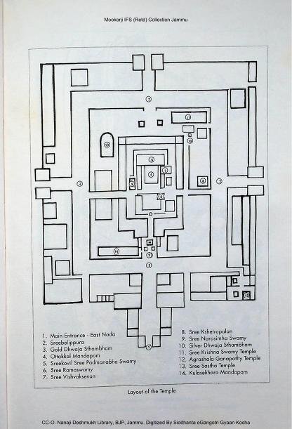 Мой фюрер, вы — шудра (СИ) - image11.jpeg