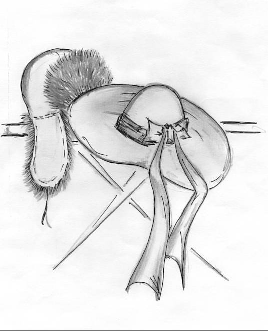 Сказки для взрослых - i_016.jpg