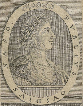 Метаморфозы - img_1.jpg