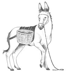 Декамерон - i_001.jpg