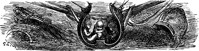 Гаргантюа и Пантагрюэль - pict_071.png