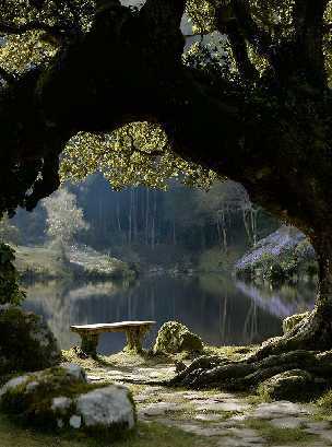 Пробуждение стихий (ЛП) - _13.jpg