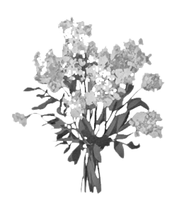 Руководство королевы красоты по убийствам - i_001.png