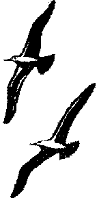 Жена напрокат - pic_12.png