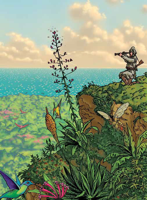 Робинзон Крузо - i_012.jpg