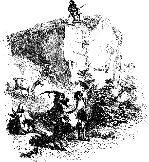 Робинзон Крузо - i_009.png