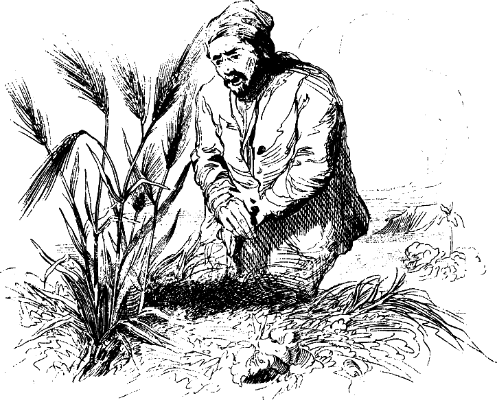 Робинзон Крузо - i_013.png