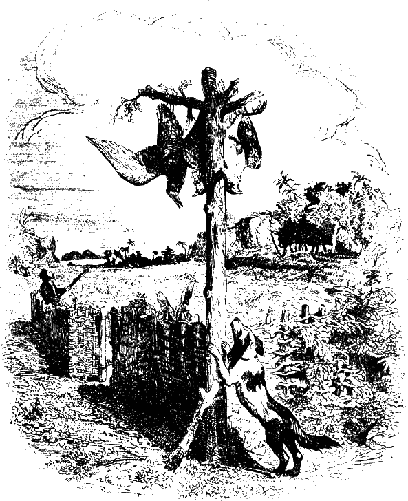 Робинзон Крузо - i_016.png