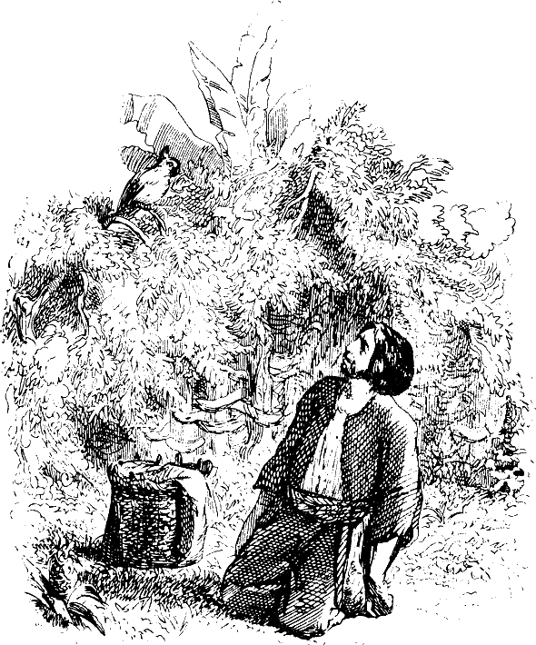 Робинзон Крузо - i_022.png