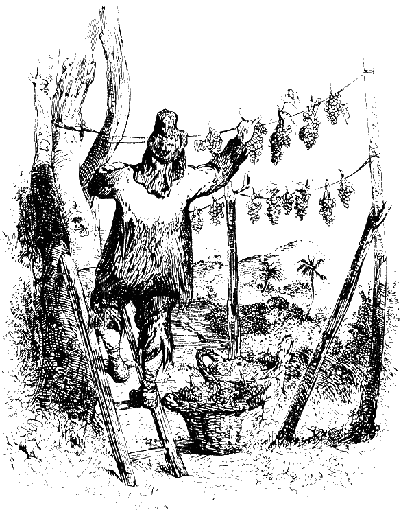 Робинзон Крузо - i_027.png