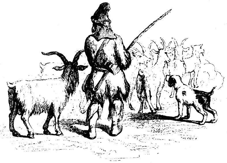 Робинзон Крузо - i_035.png