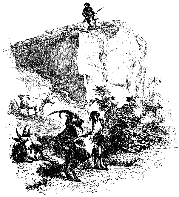 Робинзон Крузо (с иллюстрациями Ж. Гранвиля) - i_009.png