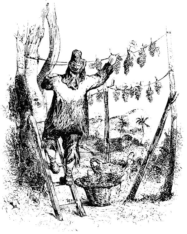 Робинзон Крузо (с иллюстрациями Ж. Гранвиля) - i_027.png