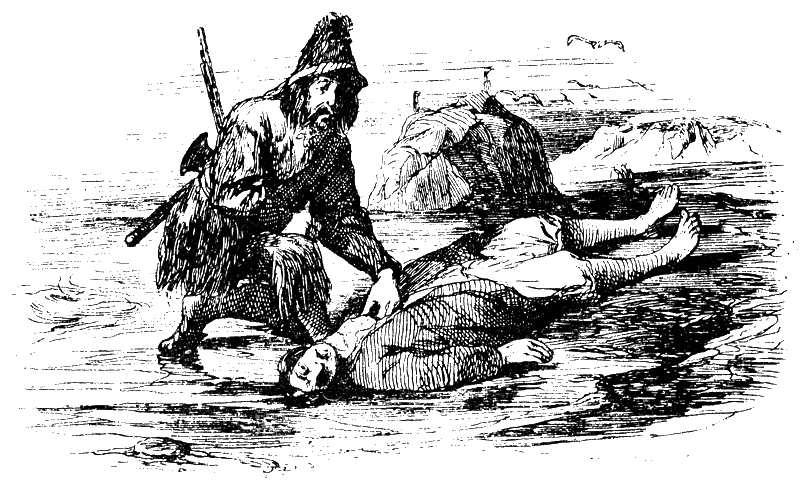 Робинзон Крузо (с иллюстрациями Ж. Гранвиля) - i_032.png