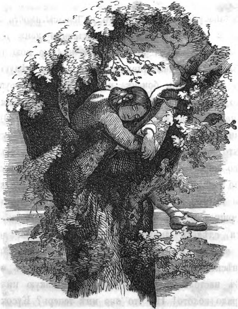 Жизнь и приключения Робинзона Крузо - text_013.jpg