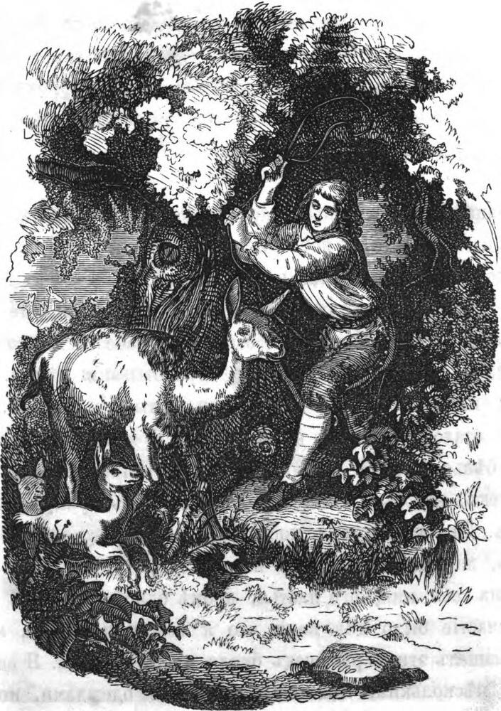 Жизнь и приключения Робинзона Крузо - text_014.jpg