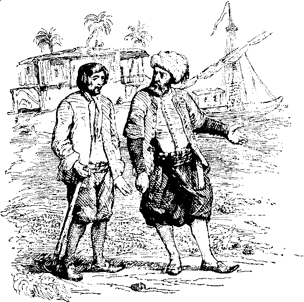 Жизнь и удивительные приключения Робинзона Крузо - i_005.png