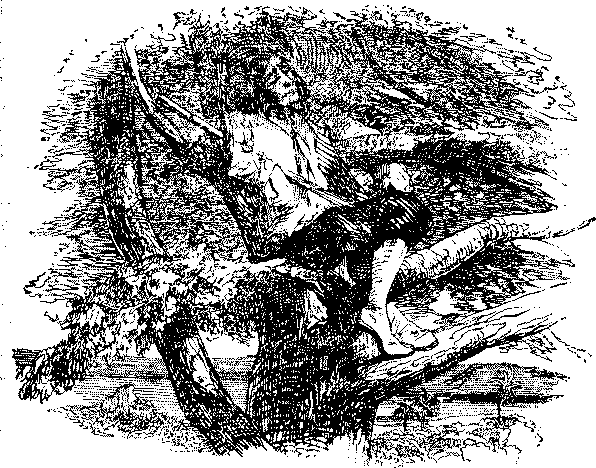 Жизнь и удивительные приключения Робинзона Крузо - i_012.png